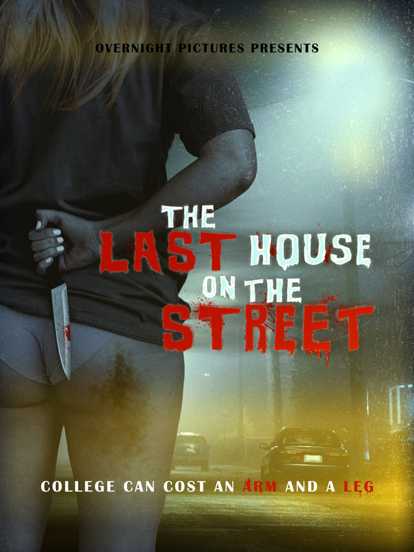Last House on the Street poster.