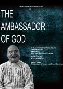 Ambassador review