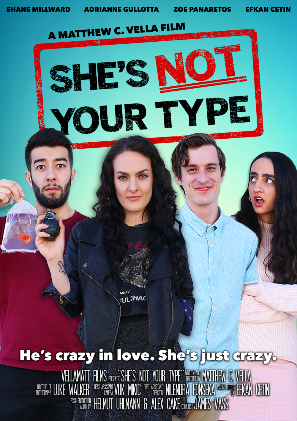 She's not your type poster.