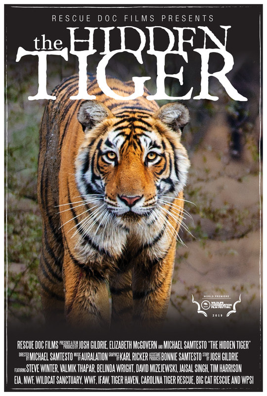 Hidden Tiger poster.