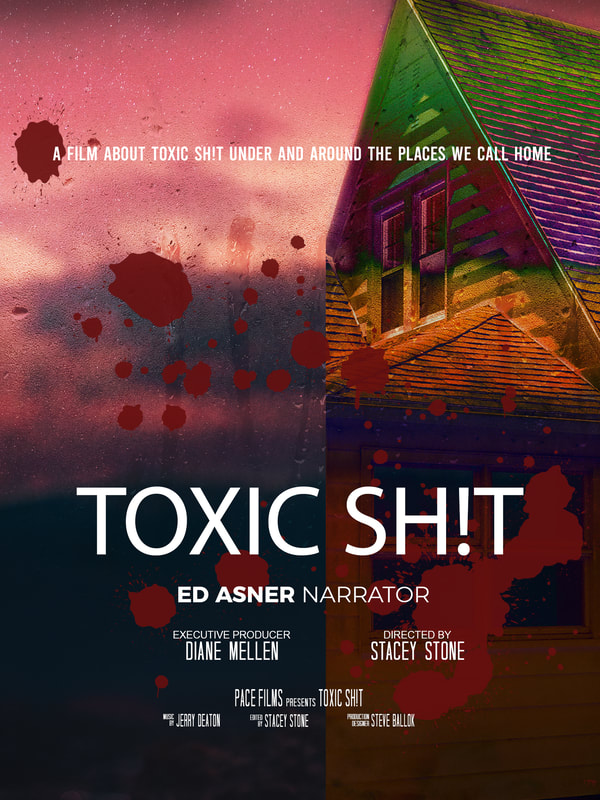 Toxic Shit poster.