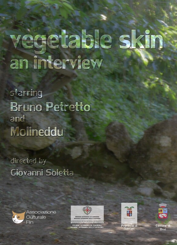 Vegetable Skin Poster